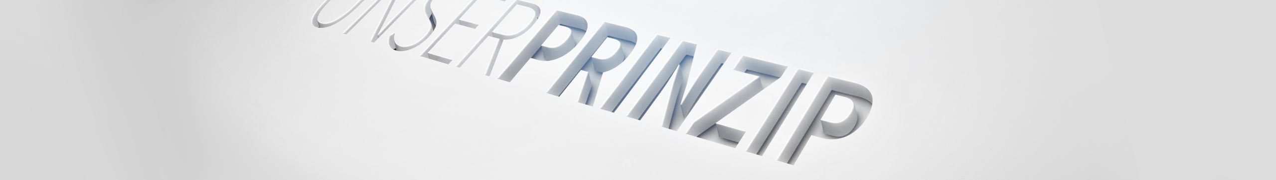 Prinzip